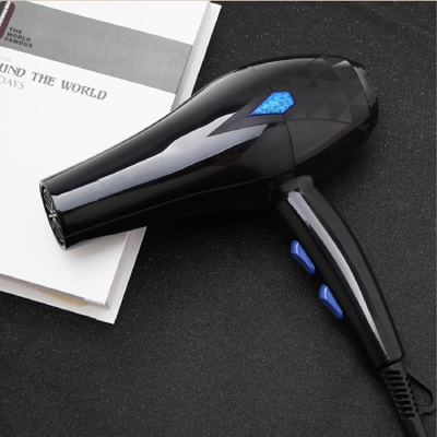 Rovivota Professional Hair Dryer